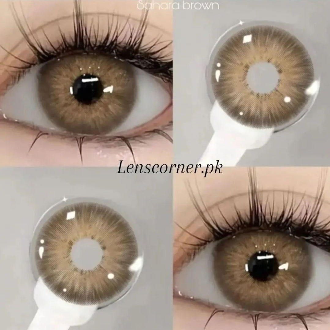 Screenshot_20240426_012150_Instagram