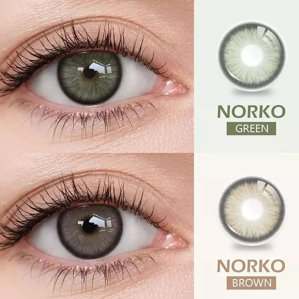 313351510_2315608478602173_2694746920350646681_n