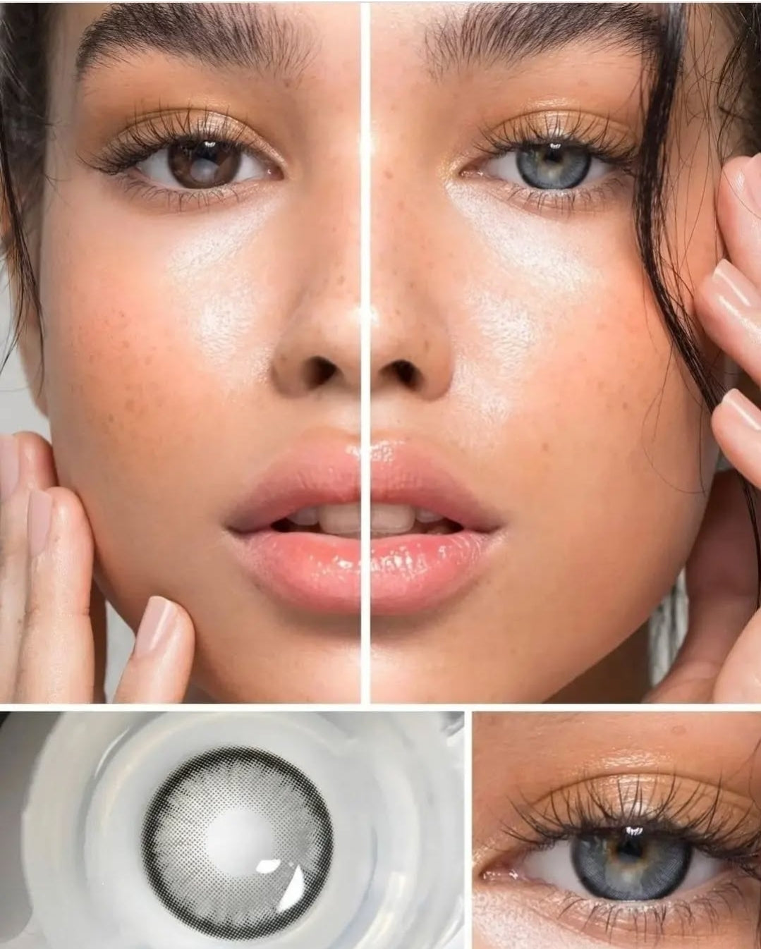 347463511_778048543859533_8416344185168281246_n