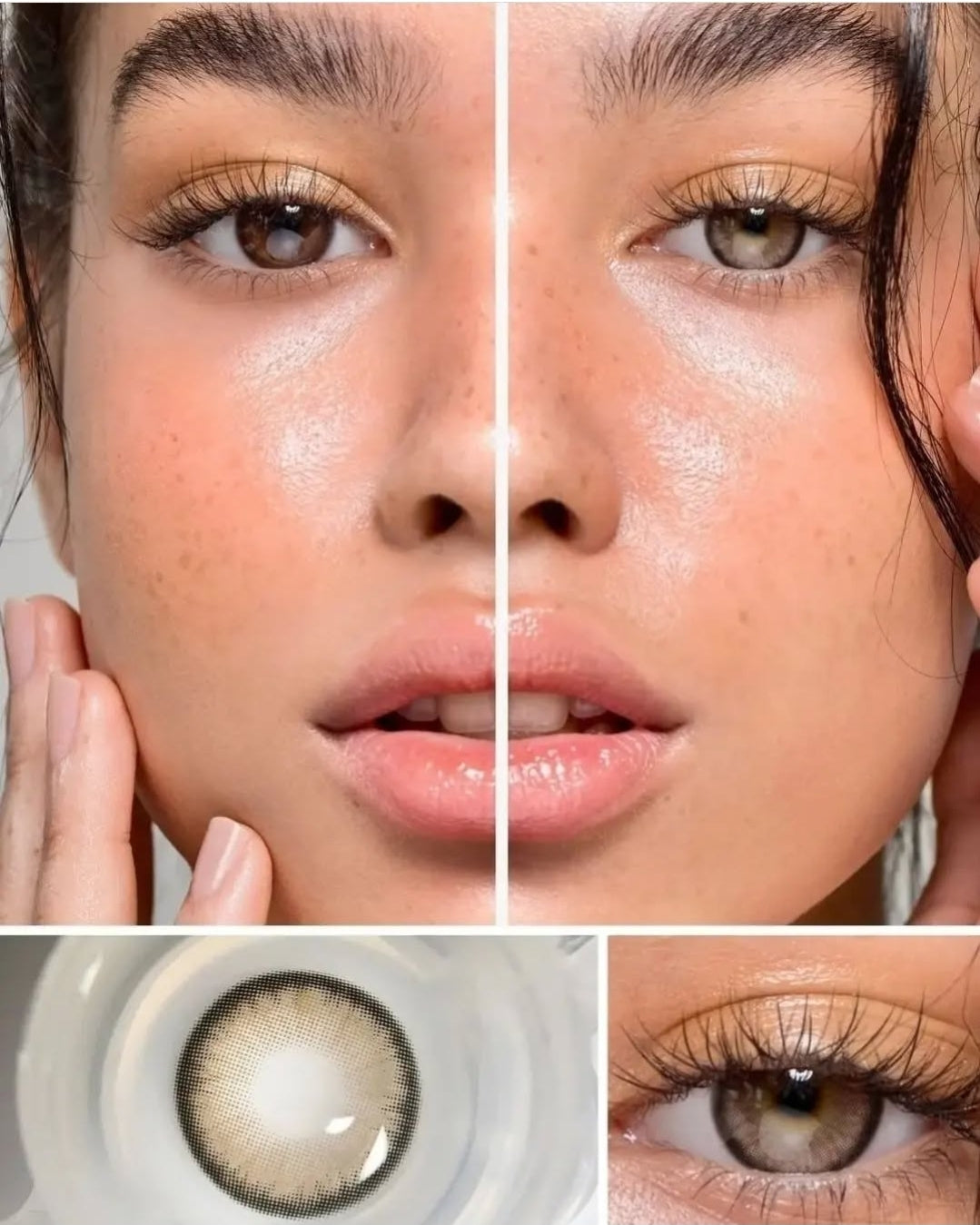 313351510_2315608478602173_2694746920350646681_n